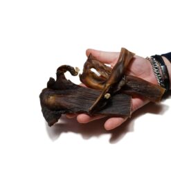 kophuid Kameel is een lekkere kauwsnack voor honden.