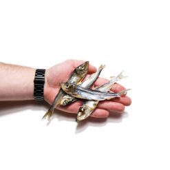 Haring gedroogd 80 gram