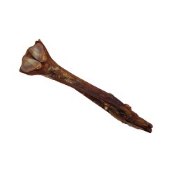 Paarden achillespees 2 Paarden achillespees met bot