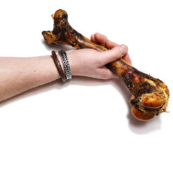 Hert Schenkelbot voor honden