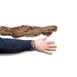 Paardensnuit met wang hondensnack