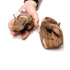 wijnstok kauwbol voor de hond