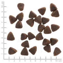 Wolfsblut Jack Rabbit Adult hypoallergeen hondenvoer