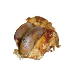 Runderknokkel gezaagd, snack voor honden