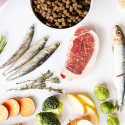 YDOLO Healthy and Pure Puppy is hypoallergeen puppyvoer met 75% vers vlees voor een gezonde groei en sterke start