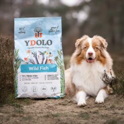 YDOLO Healthy & Pure Wild Fish is hypoallergeen semi-moist hondenvoer met 75% verse vis, voor optimale gezondheid en smaak