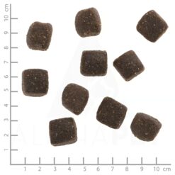 Wolfsblut Squashies Cold River 300 g zijn zachte, graanvrije hondensnacks met forel en zoete aardappel, ideaal als lekkere beloning.